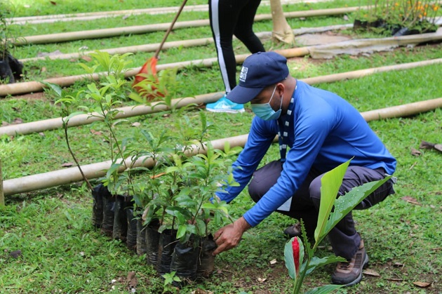 Alrededor de 10 mil plantones se sembrarán en el vivero de El Cacao, en Capira. Foto cortesía MiAmbiente