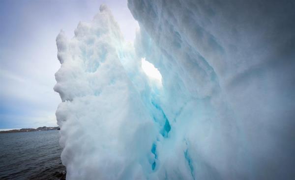Imagen del glaciar Collins, que rodea la Base Científica Antártica Artigas de Uruguay