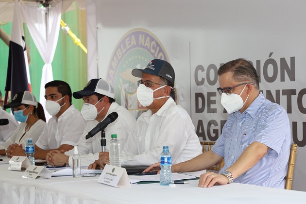 Los agroparques se establecerían en la región occidental del país, región Central, Panamá Oeste y Panamá Este, potenciando las alianzas público-privada.