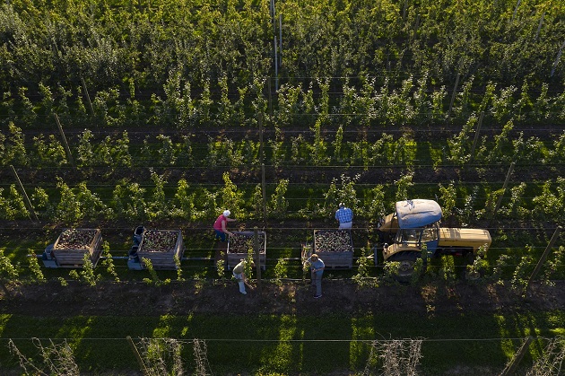 Siete millones de personas trabajan en el sector  y producen  más de 280 millones de toneladas de alimentos. EFE