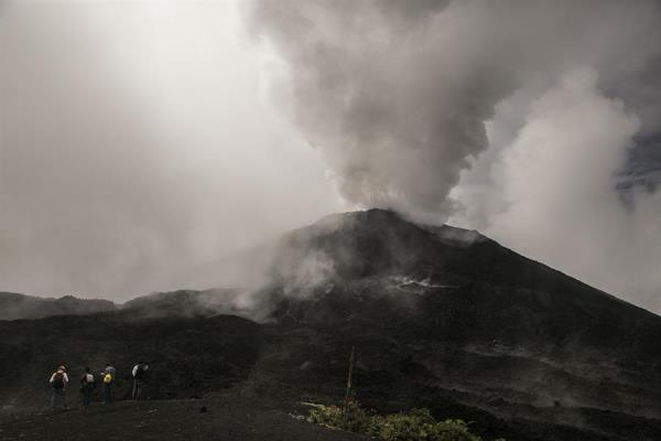 El volcán Pacaya se encuentra ubicado en el departamento de Escuintla, unos 60 kilómetros al sur de la Ciudad de Guatemala.