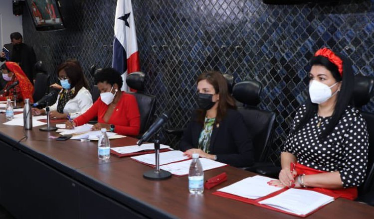 El informe fue presentado por la diputada Walkiria Chandler. 