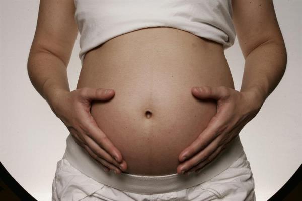 Derecho de las madres que alquilan sus vientres a estar protegidas con un seguro de vida