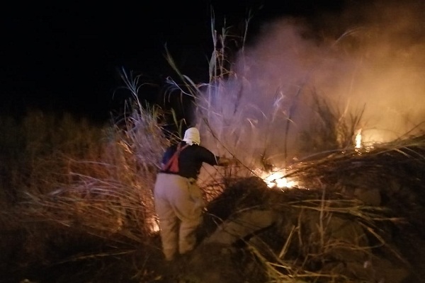 Para mediados de febrero, un grupo de cazadores de iguanas causaron un Imave, de gran magnitud en el área de Espavé de Chame, el cual puso en riesgo la red eléctrica nacional.