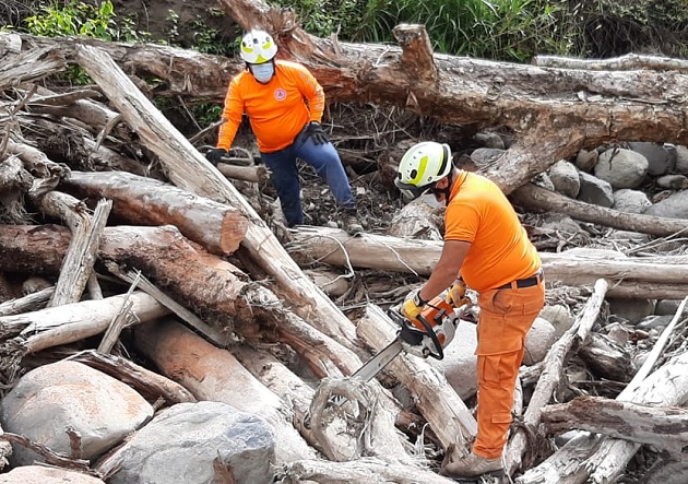 Personal del  Sinaproc participa en el proceso de corte y remoción de tucas. Foto cortesía MiAmbiente