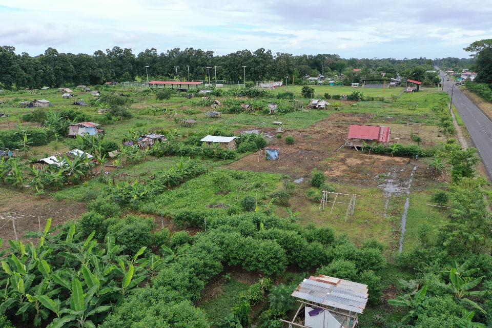 bocas_2.jpg
