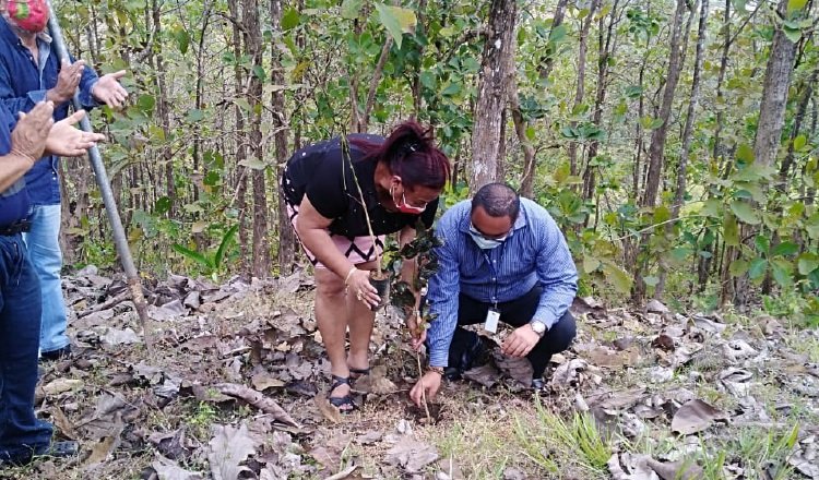 Julián González, hijo del profesor Norato, junto a la directora regional de Panamá Norte, Damaris Herrera, sembraron un árbol.  Foto de cortesía