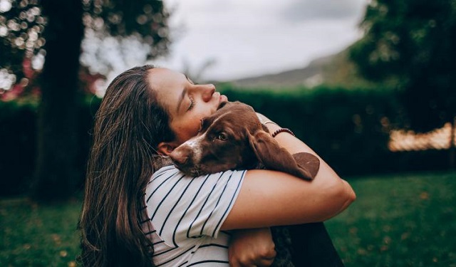 La muerte de una mascota puede doler tanto como la pérdida de un familiar cercano o amigo, para algunos hasta más. Foto: Ilustrativa / Pexels