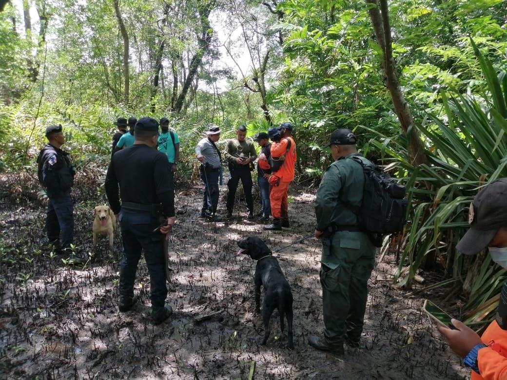 Personal del Sinaproc, utilizando una camilla de rescate, envolvió el cadáver y lo sacó del área. Foto: Diómedes Sánchez 