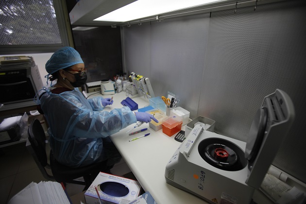 Investigadores panameños trabajan en laboratorio en un estudio genético, uno de los primeros de su tipo en Centroamérica, que ayuda al éxito de los trasplantes de órganos. Foto: EFE