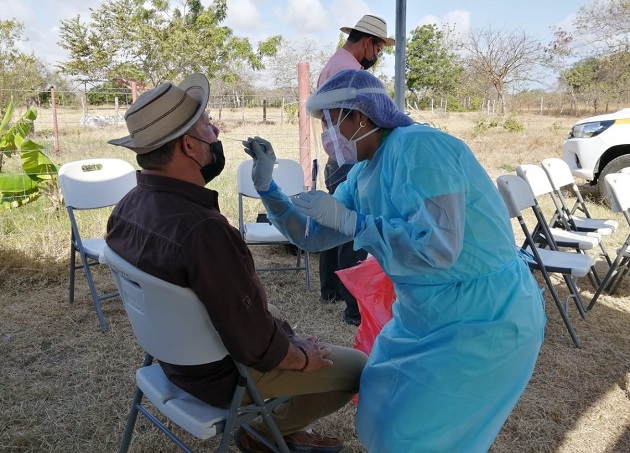 Personal de salud aplicó 10,580 pruebas para detectar la covid-19 en las últimas 24 horas. Foto cortesía Minsa