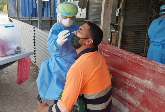 Personal de salud continúa realizando pruebas de hisopado en todo el país.  