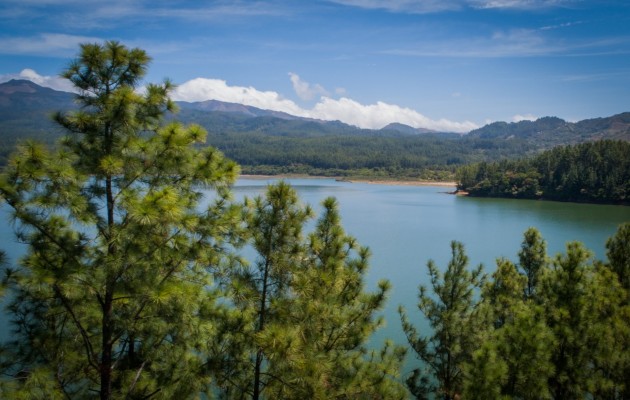 Panamá es de un 65.4%, donde el 32.5% pertenece a otras tierras boscosas y 2.1% a cuerpos de aguas continentales.