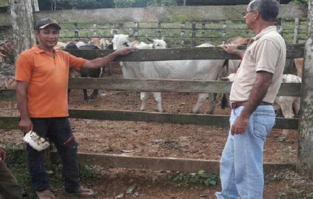 Al formar parte del  Sistema Integrado de Gestión Agropecuaria de Panamá, los productores colonenses tendrán un mejor acceso a los programas. Foto: Diomedes Sánchez