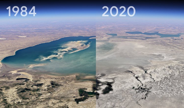 Los usuarios deben ingresar a 'g.co/Timelapse'. EFE