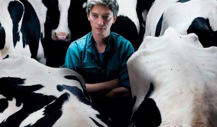 Ofrecerán un Cine-Debate sobre la película francesa: 'Petit Paysan'. Internet