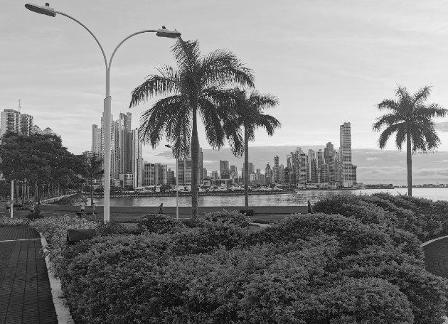 En la Cinta Costera de nuestra capital al amanecer donde a pesar de contar con un número plural de basureros, las mascarillas y basuras de toda índole, hacen necesario un escuadrón de hormiguitas para su aseo. Foto: Cortesía del autor.