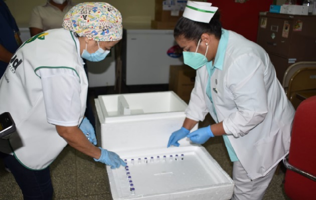 A Chiriquí llegaron 978 dosis de la vacuna de la farmacéutica Pfizer, con la cual se pretende culminar la segunda aplicación de la fase uno. Foto: José Vásquez