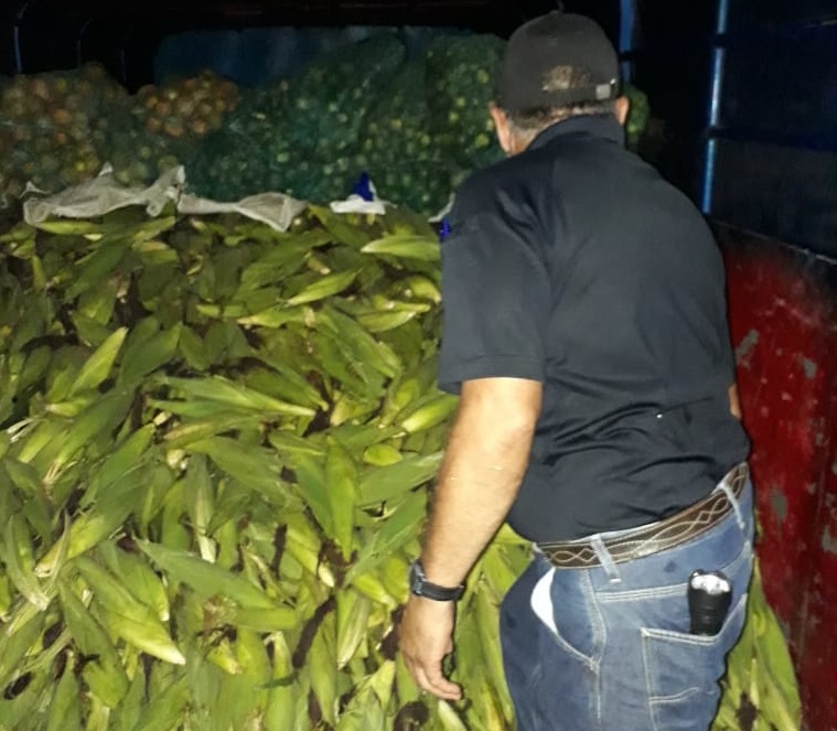 La detección de los nicaragüenses se produjo en el puesto de control de San Isidro. Foto: Mayra Madrid  