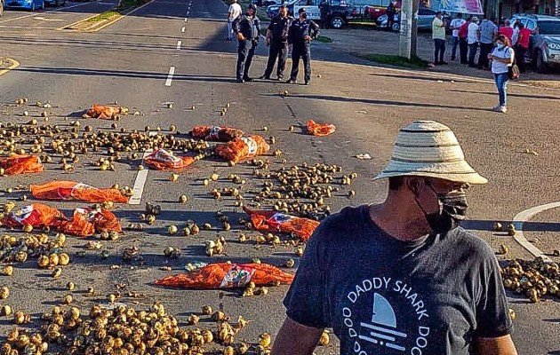 Los cebolleros tiraron gran cantidad de su cosecha dañada en la calle. Foto: Cortesía