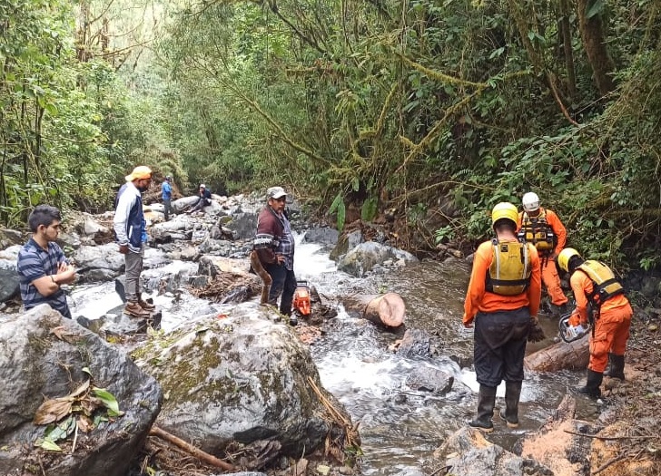 El Sinaproc realiza cortes de árboles para evitar que se generan embalses. Foto: Mayra Madrid