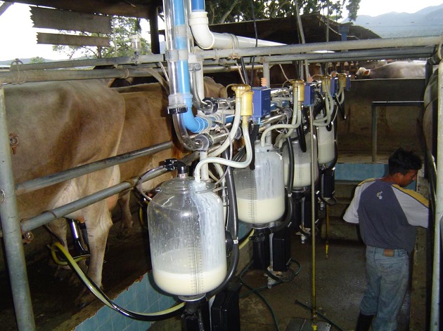 Desde mediados de 2020 productos lácteos y cárnicos costarricenses no pueden ingresar a Panamá debido a una situación similar de falta de cumplimiento de requisitos para la renovación de permisos vencidos. Foto: Archivo