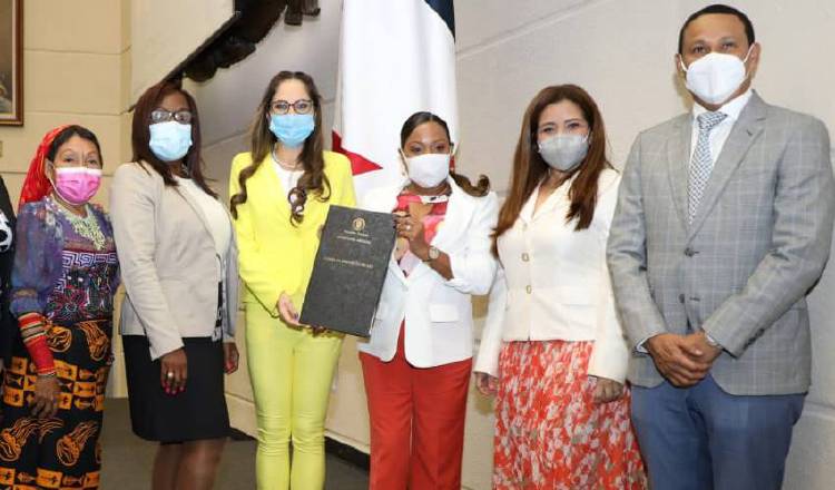 El proyecto de adopciones no tuvo pase directo en la Asamblea y después de ser bajado a segundo debate, fue aprobado el 3 de marzo. Foto: Archivo