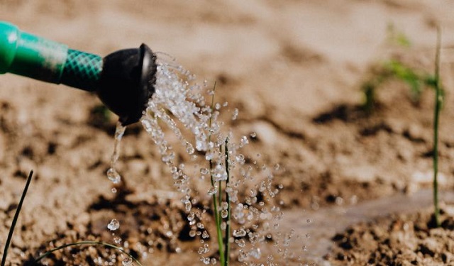 Se evaluarán los daños y pérdidas por desastres en la agricultura. Foto: Ilustrativa / Pexels 