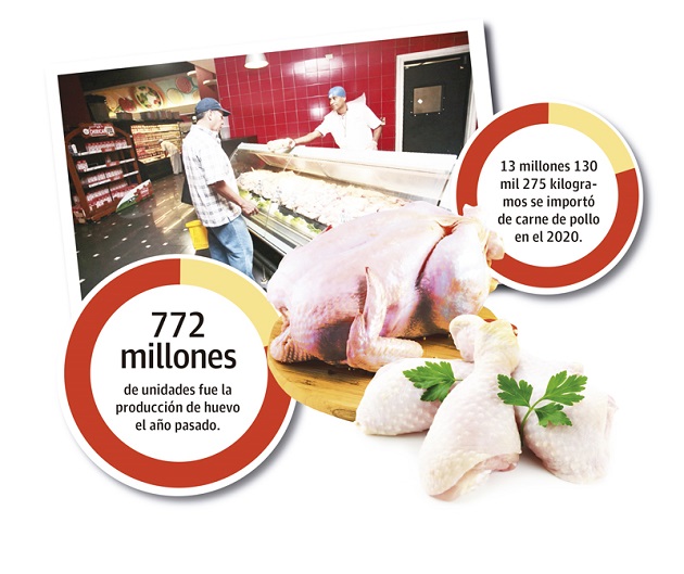 Bajo consumo impacta la producción de pollo en Panamá | Panamá América
