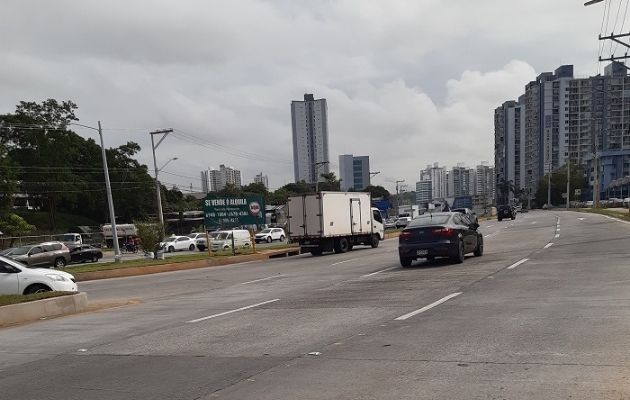 Se están sembrando árboles en las rotondas construidas. Foto: Francisco Paz