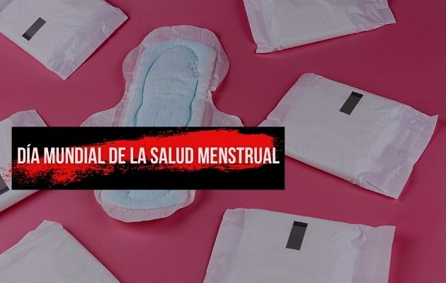 La ONU estima que 1 de cada 10 niñas faltan a la escuela durante la menstruación. Foto: Pixabay