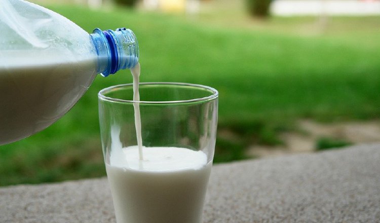 La leche en un alimento completo y equilibrado. Pixabay