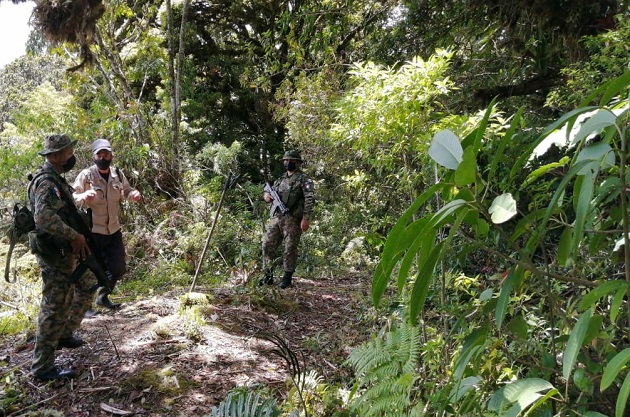 El recorrido por el Parque Internacional La Amistad, en el lado Pacífico de Chiriquí, duró una semana. Foto: Cortesía MiAmbiente