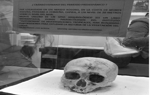 Cráneo humano del Periodo Prehispánico, localizado en un abrigo rocoso, en la Costa de Monte Oscuro, próximo a Cermeño, Capira. Monte Oscuro es un sitio arqueológico donde el Smithsonian investiga la vegetación del lugar. Foto: Cortesía del autor.