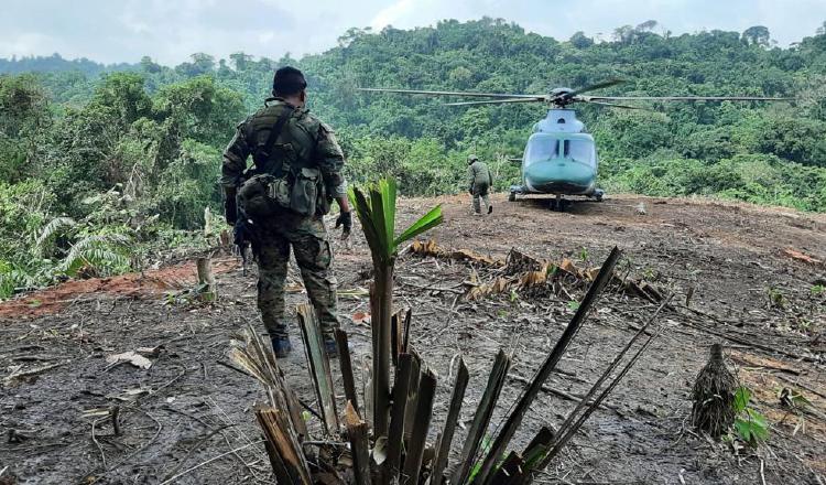 Efectivos del Senafront y el Senan realizan operativos conjuntos en la frontera con Colombia para garantizar la seguridad en el área. Cortesía