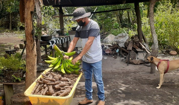 David y sus hermanos cultivan la tierra y venden los productos a los visitantes. AurelioMartínez