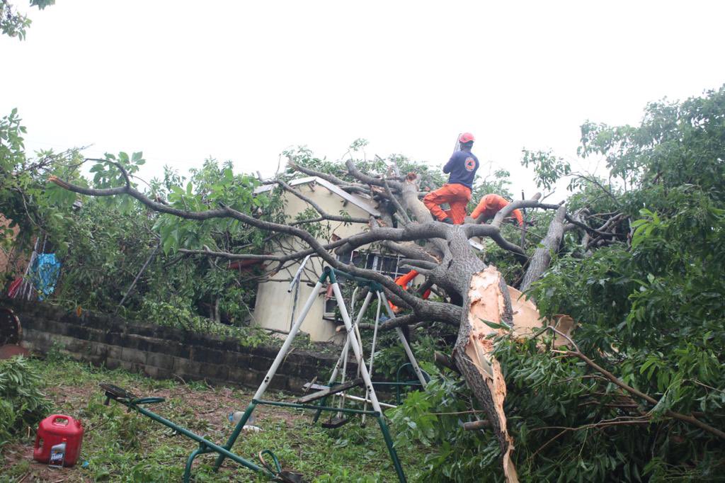 Este año se espera al menos 17 ondas tropicales en la región. Foto: Cortesía/Sinaproc