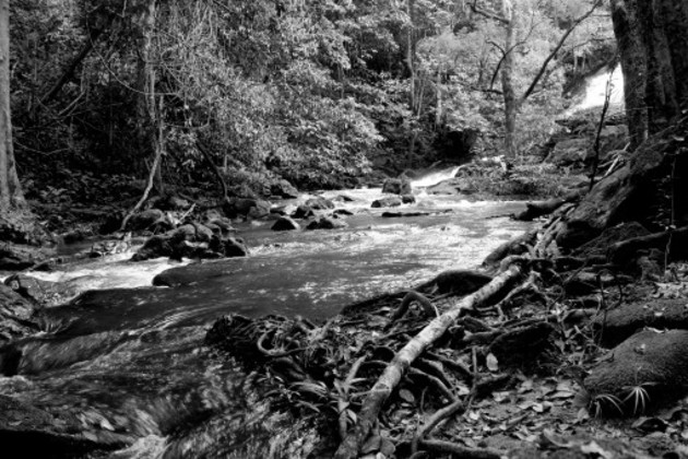 La hábil administración de las aguas se convierte en un tema de urgente prioridad nacional. Foto: Freepix.