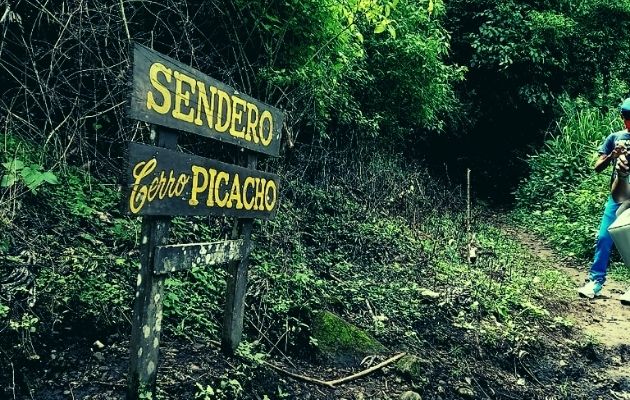 El recorrido por el Cerro Picacho puede tomar unos 40 minutos a una hora. Foto: Miriam Lasso