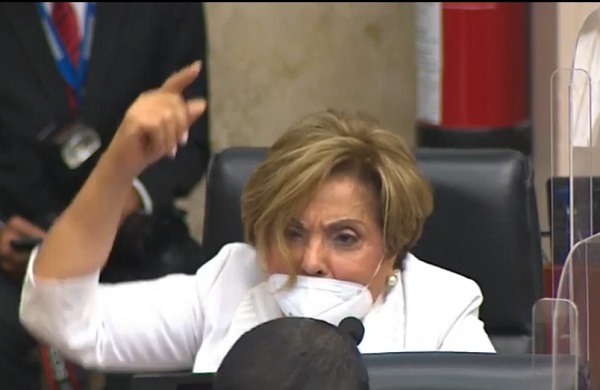 Diputada de Cambio Democrático. Mayín Correa.