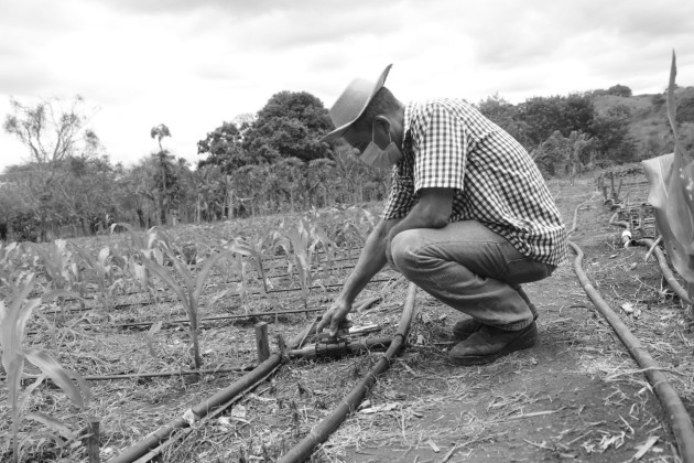 El accionar se ve entorpecido por decisiones que están haciendo sucumbir la economía, salvo el sector agropecuario que cuenta con una política de subsidios y sistemas de financiamiento bancario a nivel gubernamental. Foto: Cortesía.