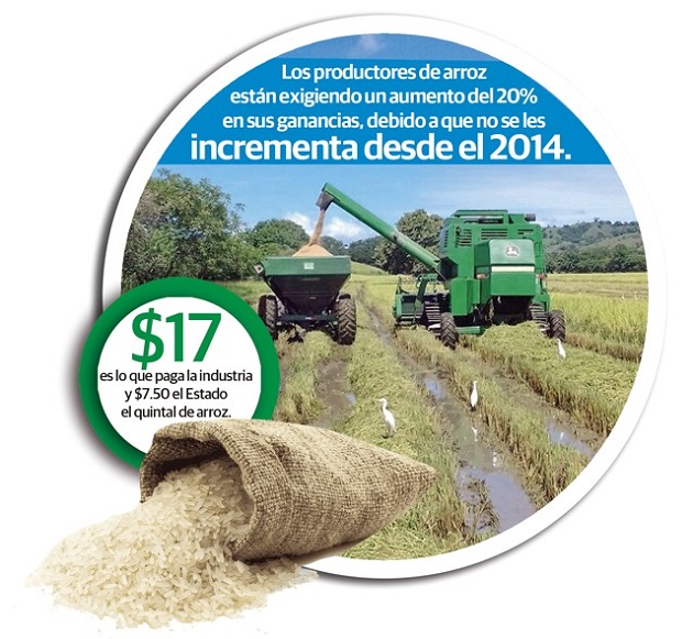 Los productores de arroz le dieron un periodo de una semana al MIDA para que se les otorgue el aumento del subsidio.