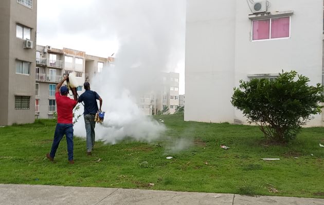 Además de las zonas residenciales y áreas públicas, se está desinfectando en cada una de las piqueras de buses y taxis del distrito.Foto: Eric Montenegro