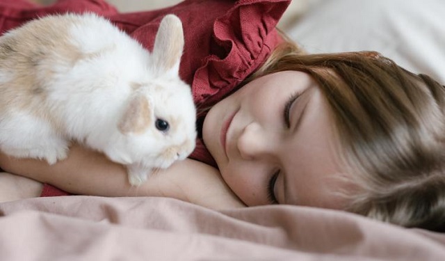 Los conejos son cariñosos y un excelente compañero para los niños. Foto: Ilustrativa / Pexels