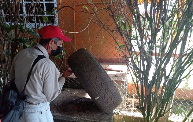 El Minsa pide a la población que elimine los criaderos del mosquito Aedes Aegypti. Foto: José Vásquez