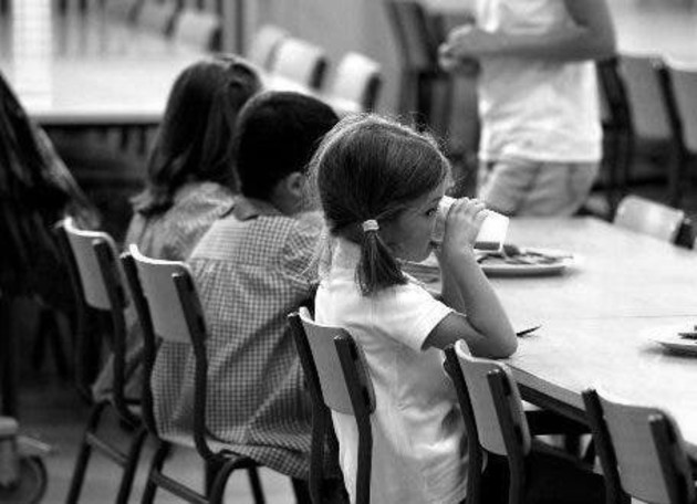 Creemos que la transformación en la cultura de la nutrición, a través de los espacios escolares y de la Educación Alimentaria y Nutricional, es posible.  Foto: EFE.