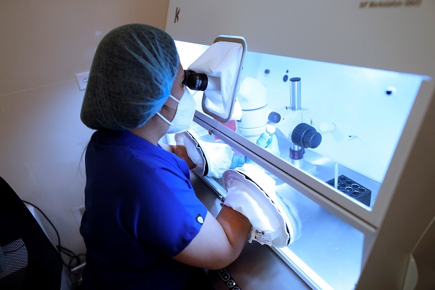 Personal técnico trabaja con óvulos en el laboratorio de la clínica Panama Fertility. Foto: EFE 
