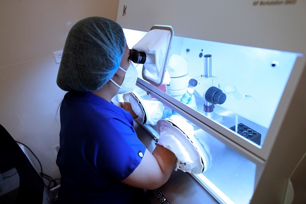 Personal técnico trabaja con óvulos en el laboratorio de la clínica Panama Fertility. Foto: EFE
