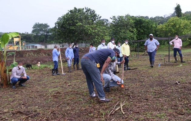 Esta alianza busca la realización y sostenimiento de la granja, mediante la capacitación de los jóvenes interesados en la agricultura. Foto: Diomedes Sánchez