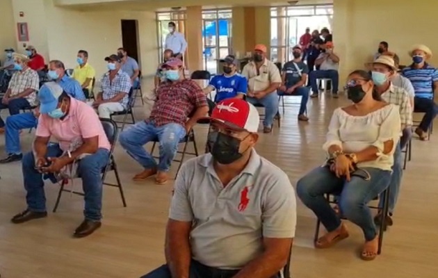 El IMA  ha realizado cambios en la política de pagos, que permite a los productores cobrar el monto pactado en menor tiempo.  Foto: Thays Domínguez